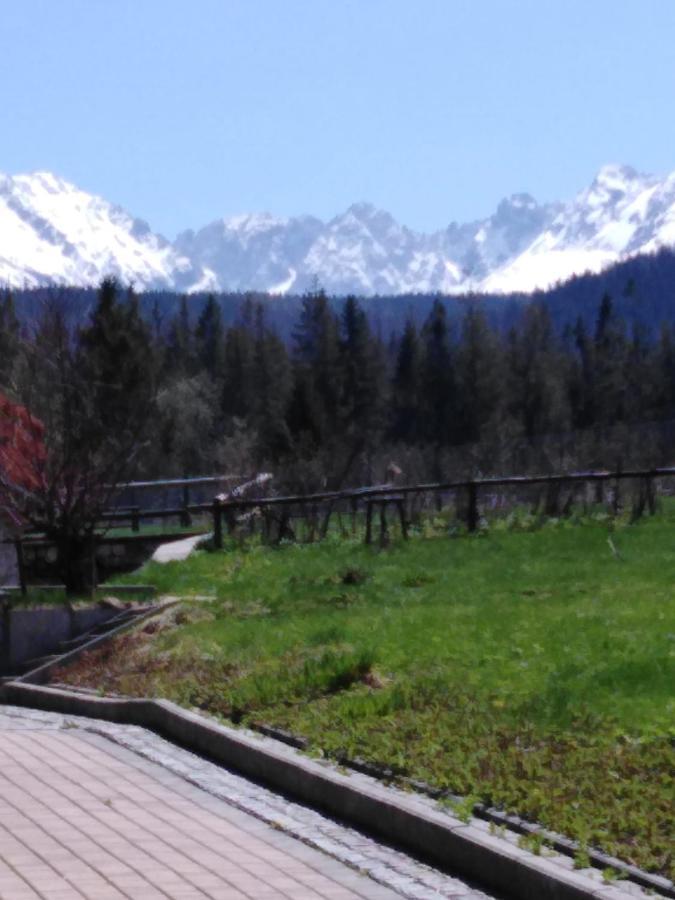 Willa Marysienka Bed & Breakfast Zakopane Dış mekan fotoğraf