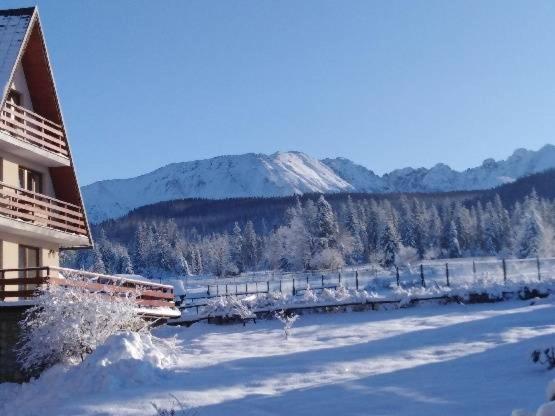 Willa Marysienka Bed & Breakfast Zakopane Dış mekan fotoğraf